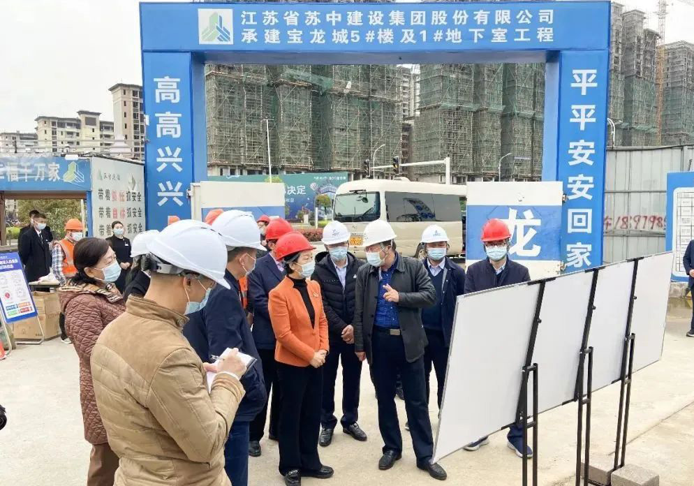景德鎮市市長胡雪梅率隊考察公司寶龍城商業廣場項目